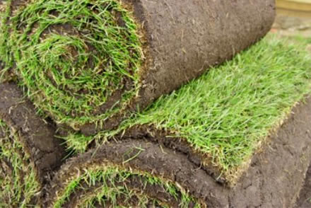 Turf laying service